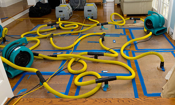 Professional Basement Flood Cleanup technician working in Bethel, PA